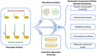 Frontiers | Microbiome Research As An Effective Driver Of Success ...